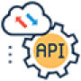 custom-api